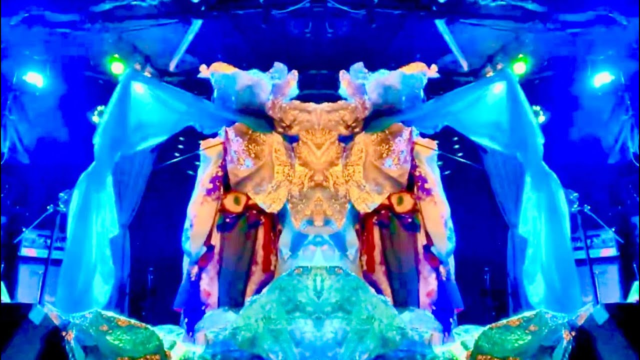 あなるちゃんとゴキブリパラノイア