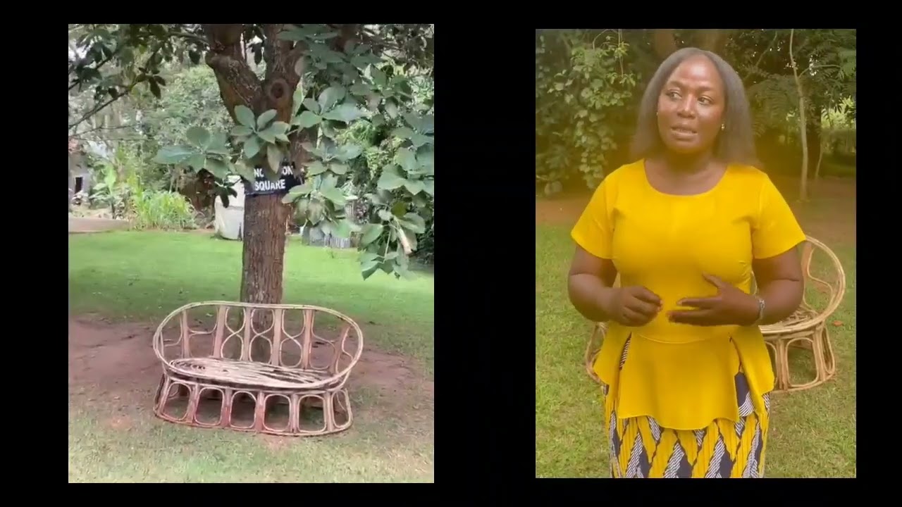 African Women Leaders in Agroecology (AWOLA) Change Stories: From mentorship to transformation.