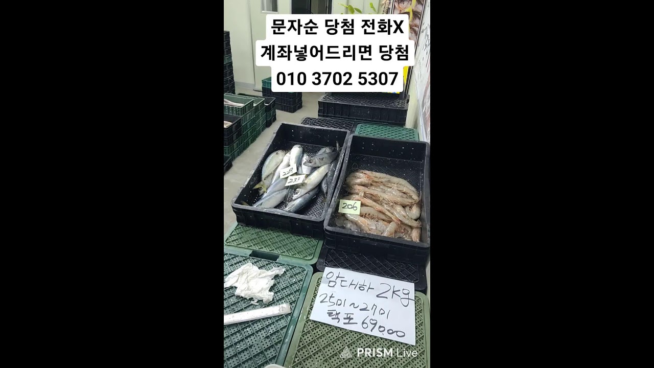 잡어 그냥 가져가세요
