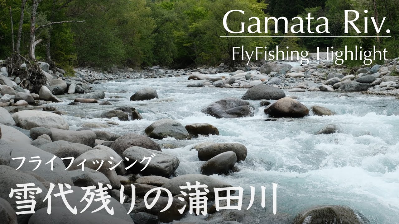 雪代残りの蒲田川｜フライフィッシング 2024.5.9 Flyfishing Hightlight