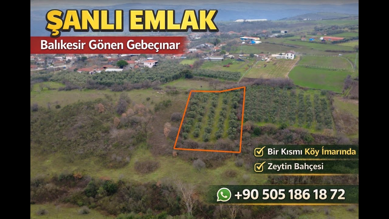 Balıkesir Gönen Gebeçınar 2.150 m2 Satılık Zeytinlik Tapuda Tarla Fiyat 2.000.000 TL