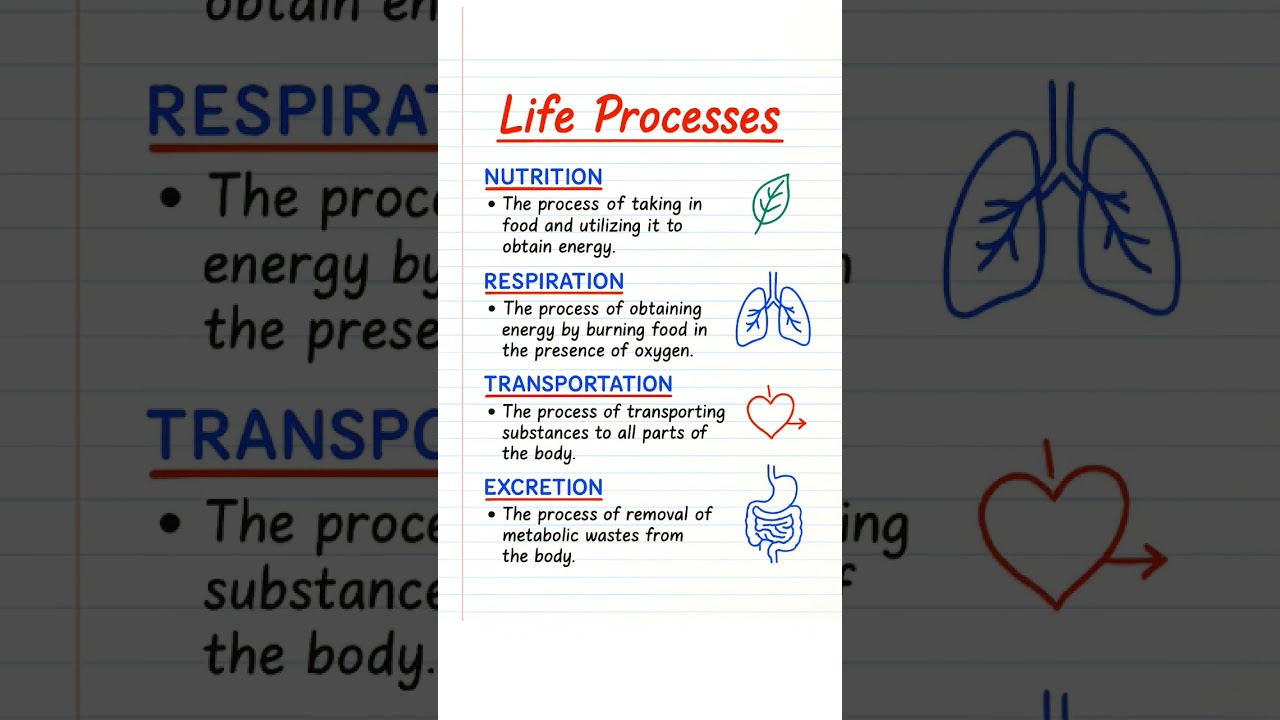 Class 10 Science Life Processes Notes ✨ | Beautiful Handwritten Notes | Board Exam 2025
