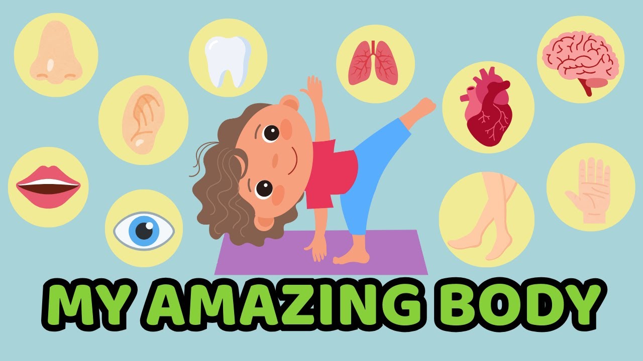 Body Song | My Amazing Body &ndash; Fun English Song to Learn Body Parts | Starlala ABC