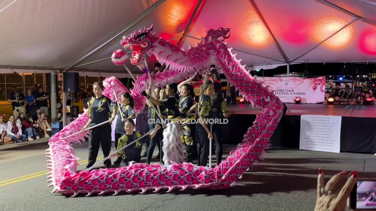 Chinese Dragon Dance @ 2025 Lunar New Year Festival by Chinese Lion Dance Association 華人舞獅會 -