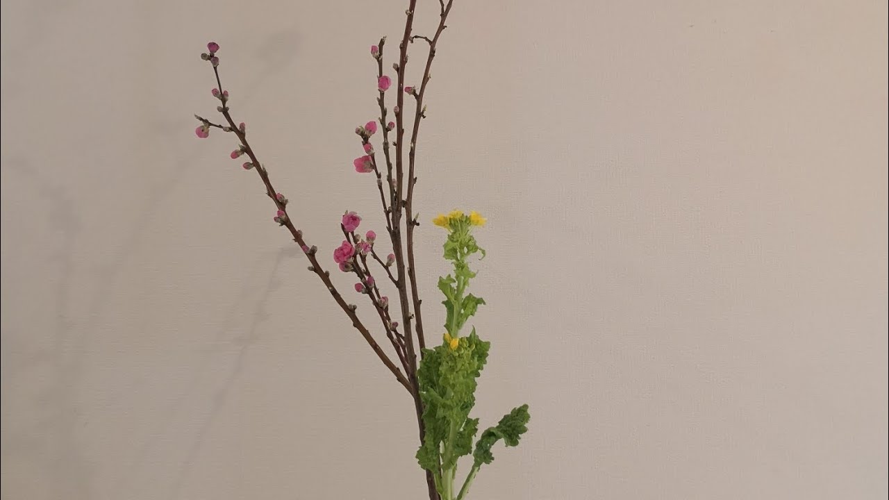 池坊生花カリキュラムでいけばな体験桃編