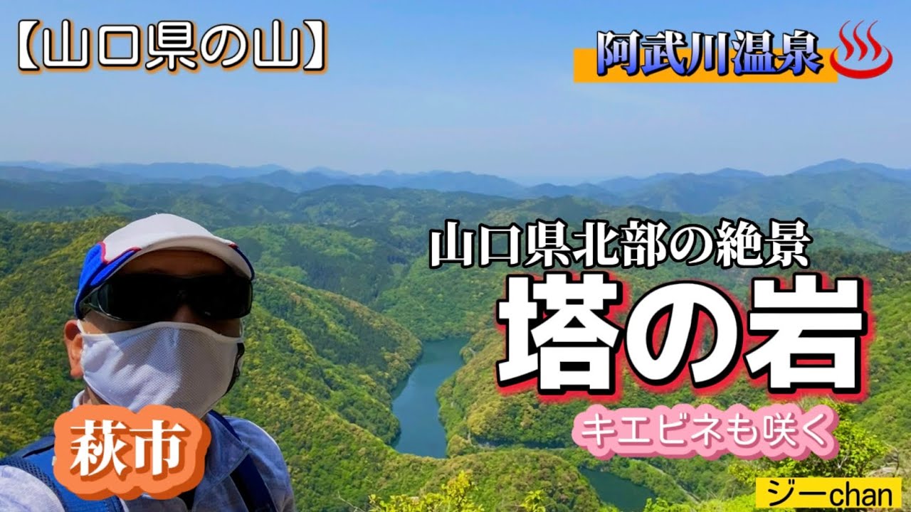 【低山登山】山口県萩市『塔の岩』、山口県北部の絶景と希少植物“キエビネ“を見に行ってみた！圧倒される絶景でした。ジーchanの活動日記（温泉も最高だー！）