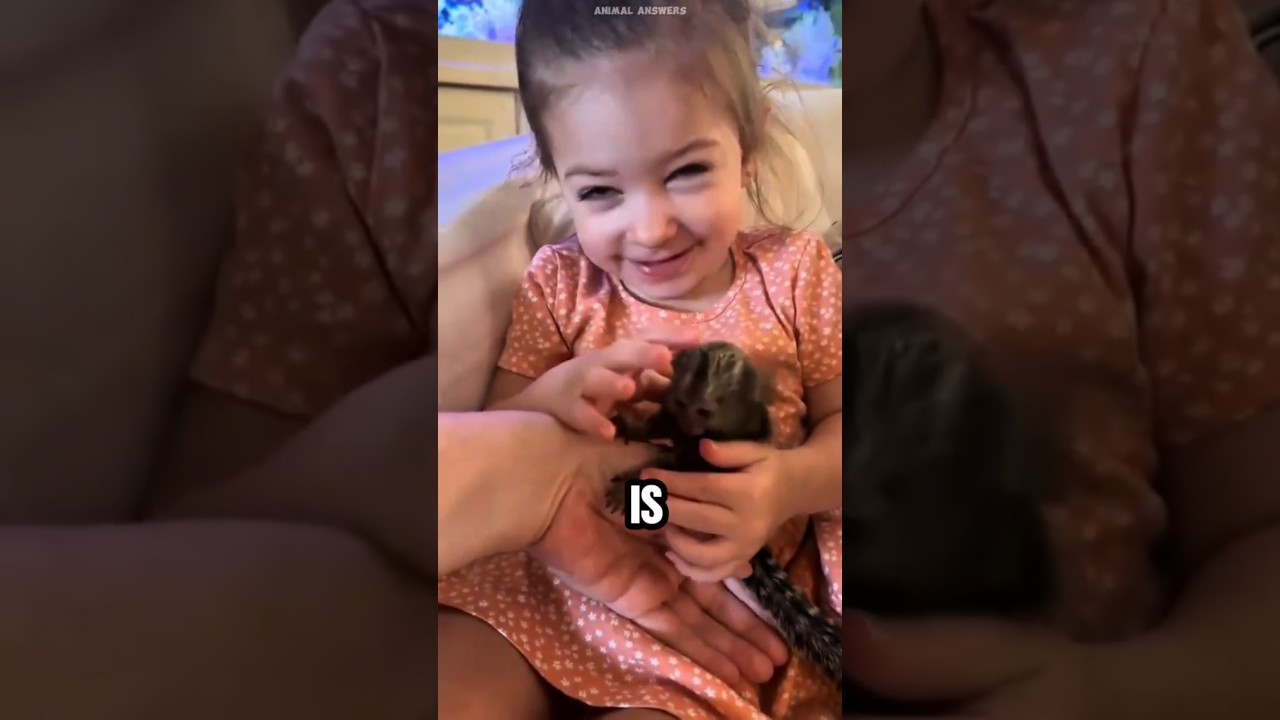 How Finger Monkeys See Humans? 