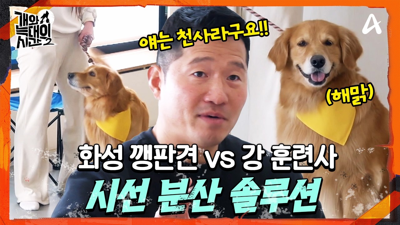 [#개와늑대의시간2] 화성 깽판견 vs 강 훈련사, 늑대 3호의 시선을 분산시켜라!👀 | 개와 늑대의 시간 시즌2 6회