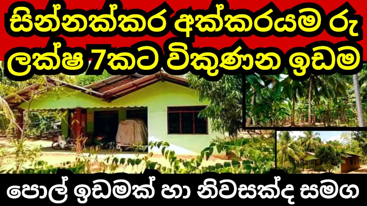 සින්නක්කර අක්කරය රු ලක්ෂ 7 කට විකුණ්න සුපිරි ඉඩම | Aduwata idam | Land for sale | Pol idam | Lands