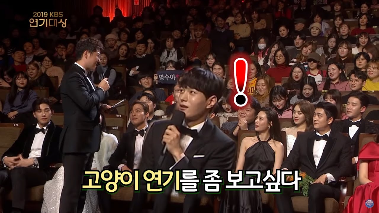 kbs 연기대상에서 고양이말을 하게되었다냥【인피니트 김명수】