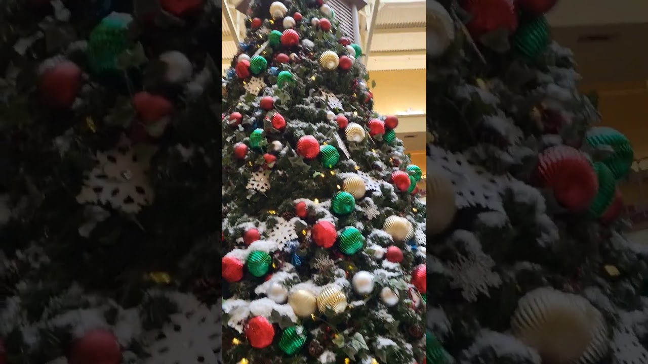 Genesee Valley Center - Flint, MI - December 2023