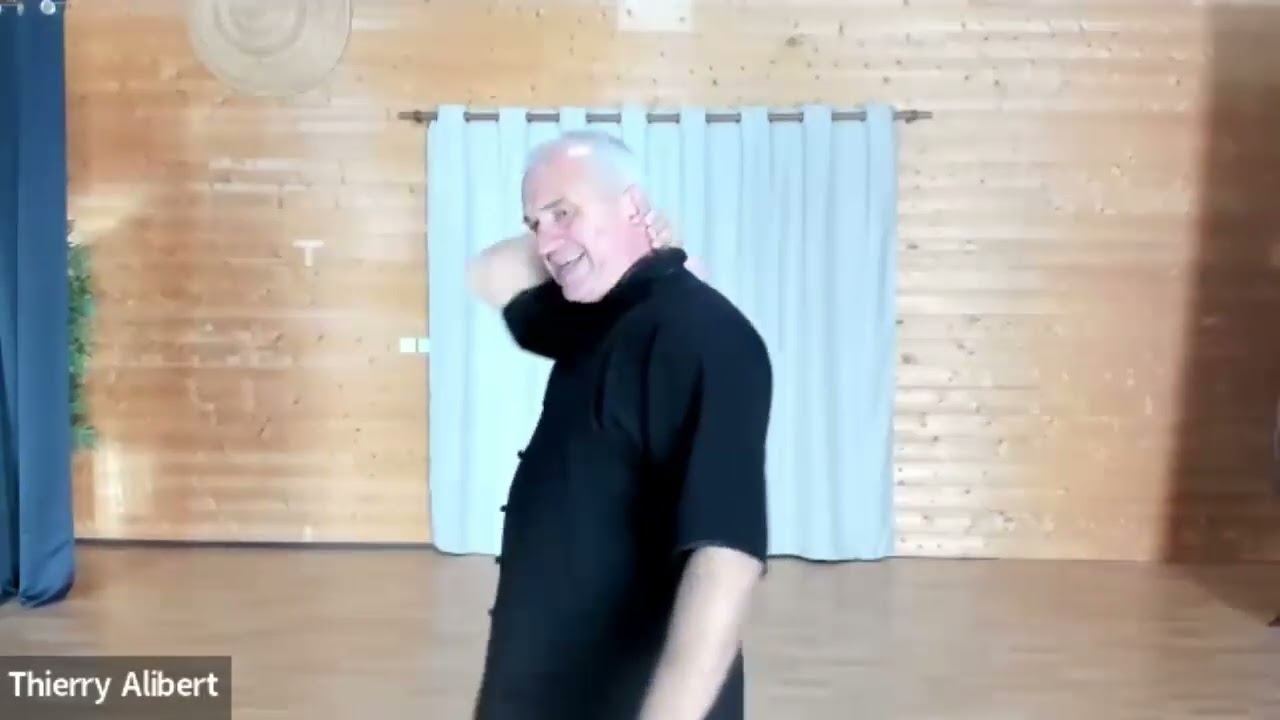 Cours N°3 Qi Gong 3ème cervicales et marche de la Tortue par Thierry Alibert