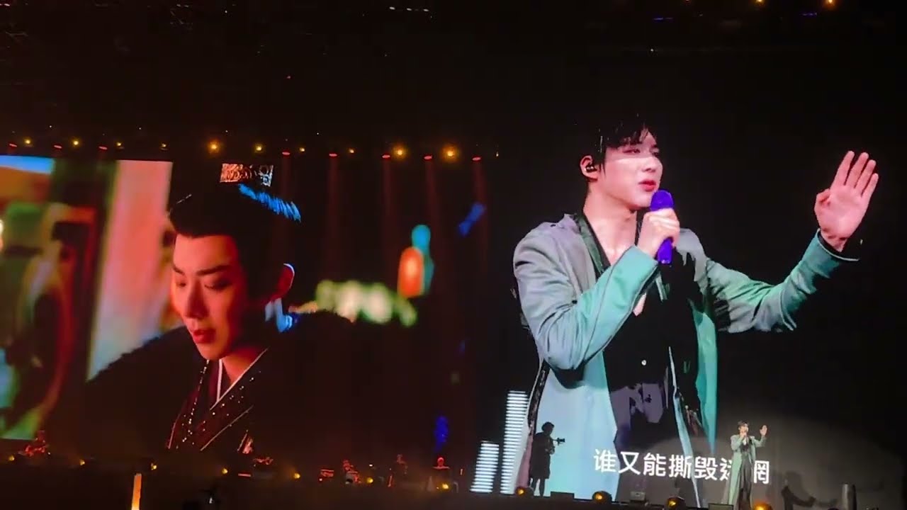 劉宇寧演唱會武漢站_紙片人_纸片人_橫拍
