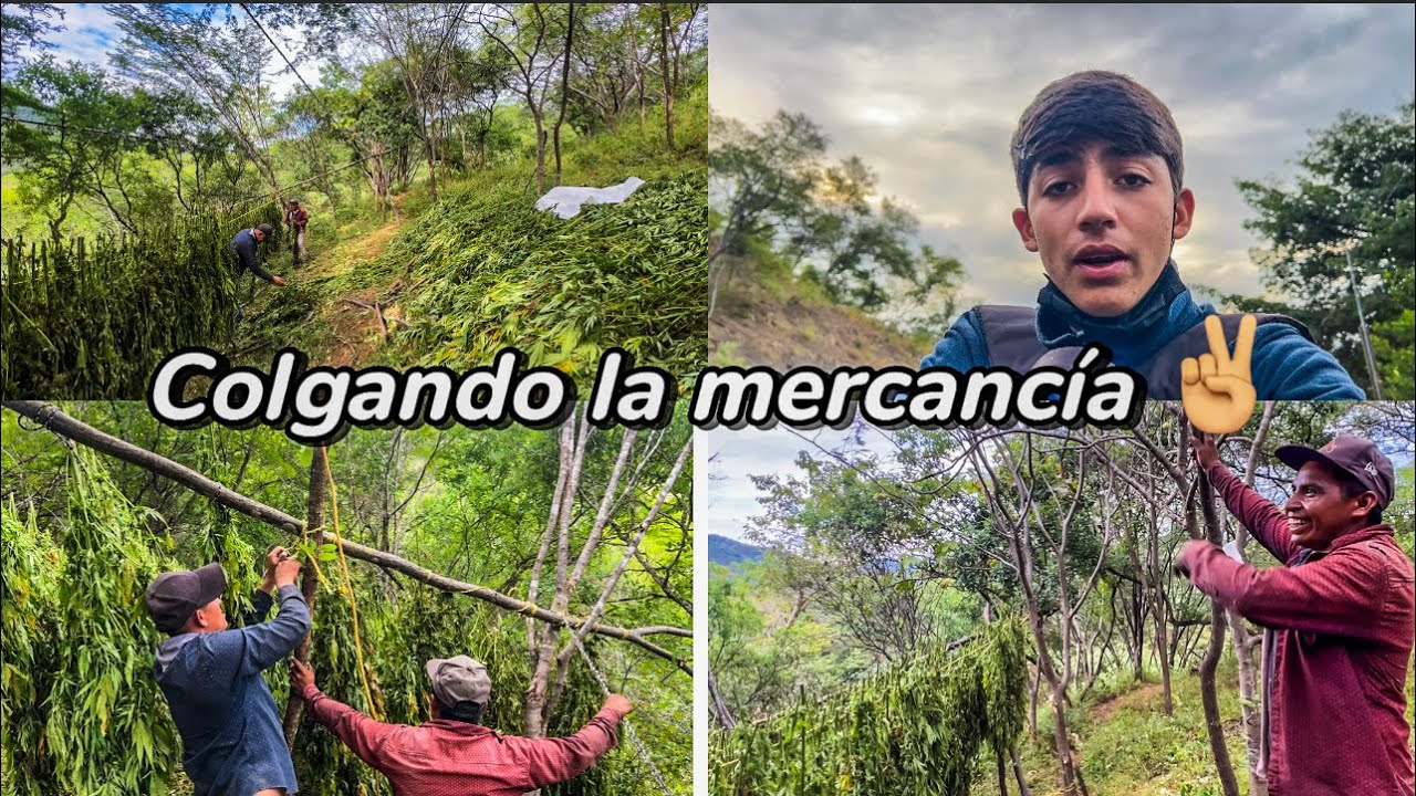 SE NOS CAYÓ LA MERCANCÍA CASI SE NOS MOJA😱