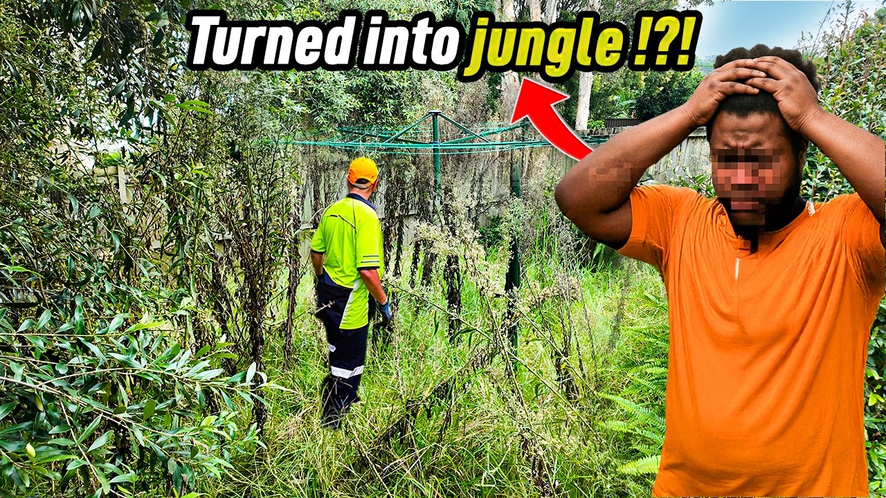 FORGOTTEN area DISCOVERED BEHIND this House turned into a JUNGLE
