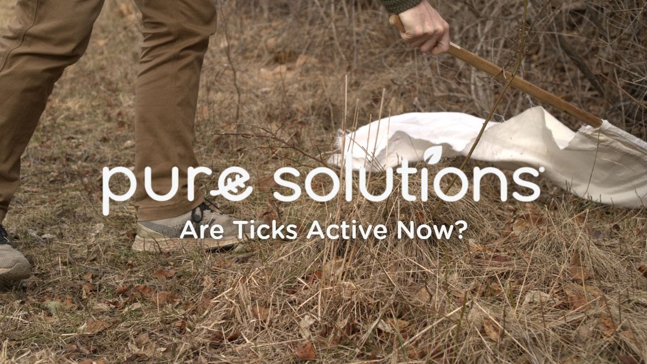 Are Ticks Really Active Now? Tick Flagging in February - Pure Solutions All-Natural Tick Control🌱