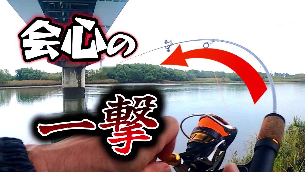 【大河川秋の鯉釣り】川の流れに乗って逃げる大物との攻防戦！そして釣り上げる【鱒レンジャー】【吸い込み】【BGMなし】