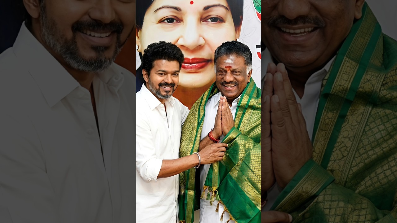 #Shorts 🔥OPS விஜய் உடன் கூட்டணி.?✅ #OPS #TVK #politics #TVKVijay #TamilNaduPolitics #2026Election