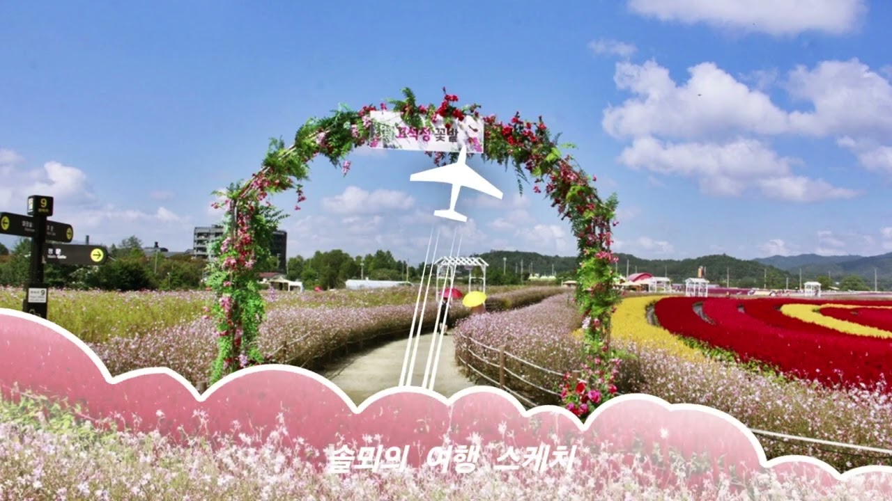 #철원 한탄강 고석정 꽃밭 축제