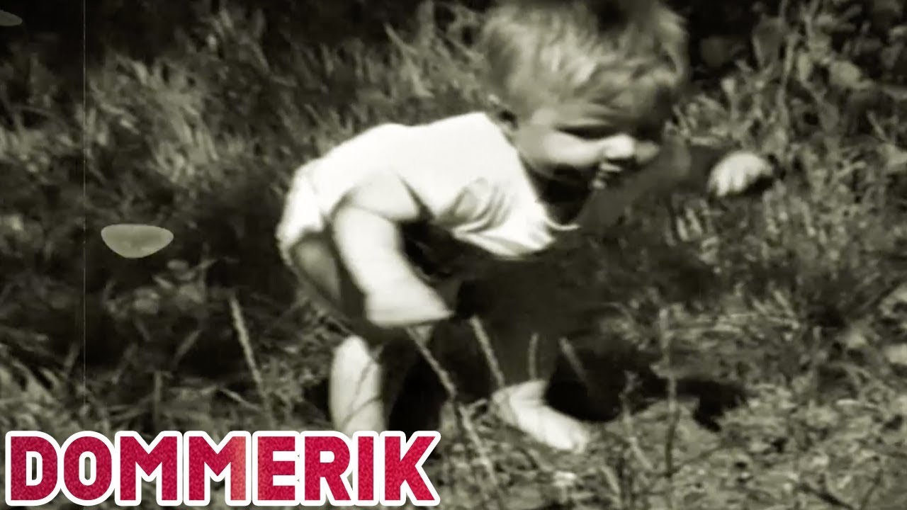 Dommerik bestaat echt - Stemronde - Studio Snugger