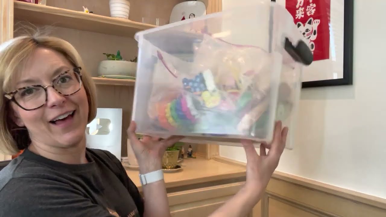Organization hack - sterilite and hefty -  for Teacher, SLP, Mom, Dad
