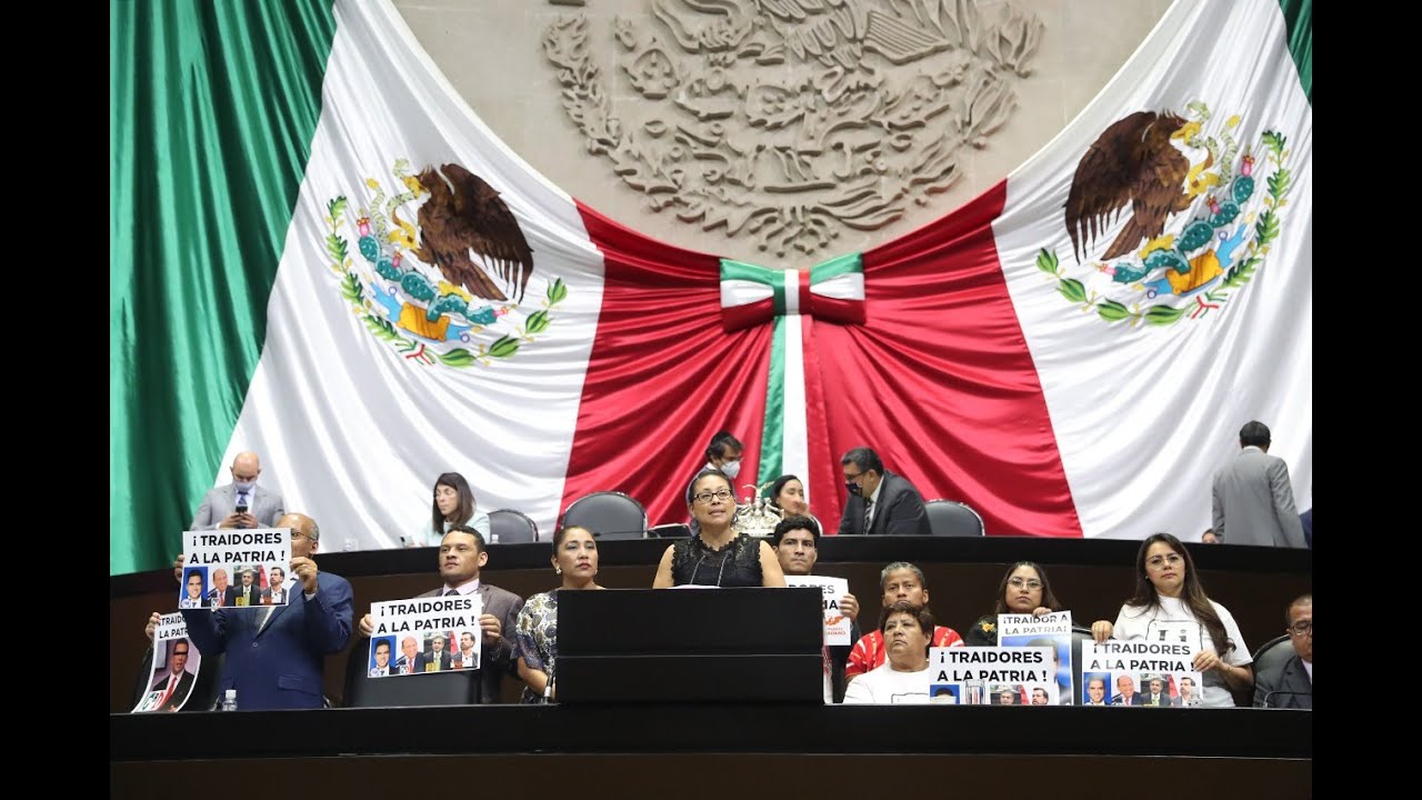 Dip. Erika del Castillo Ibarra (Morena) / Ley de Transparencia y Acceso a la Información Pública