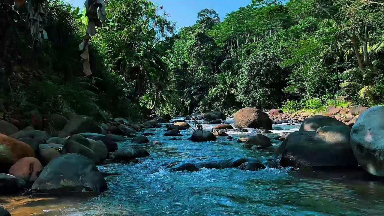 Crystal Blue Jungle River Flow &ndash; Nature Sounds for Deep Sleep, Focus & Anxiety Relief
