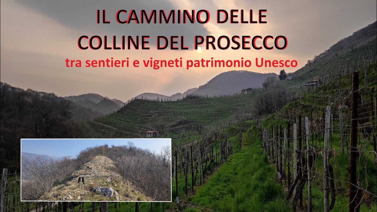 Il Cammino delle Colline del Prosecco, tra sentieri e vigneti patrimonio Unesco.