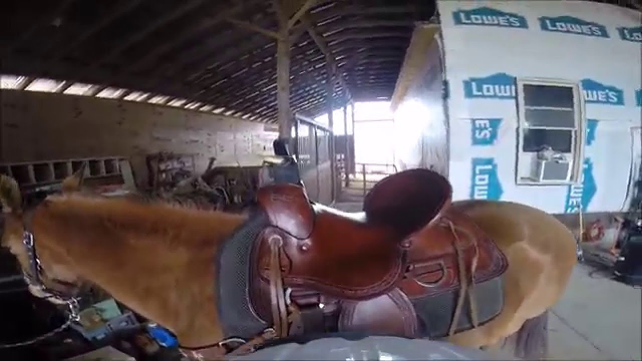 GoPro Horse Riding on a Rainy Day