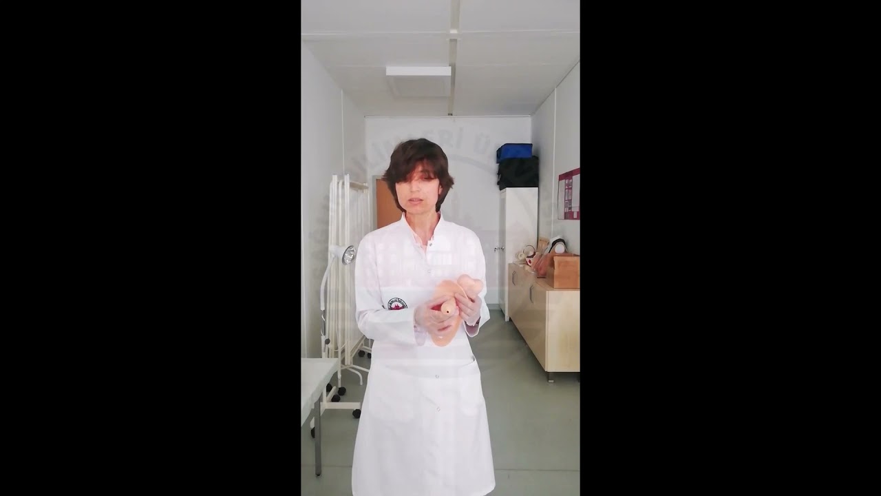 5-Erkek Dış Ürogenital Organları (Male External Urogenital Organs)/SBÜ Hamidiye Hemşirelik Fakültesi