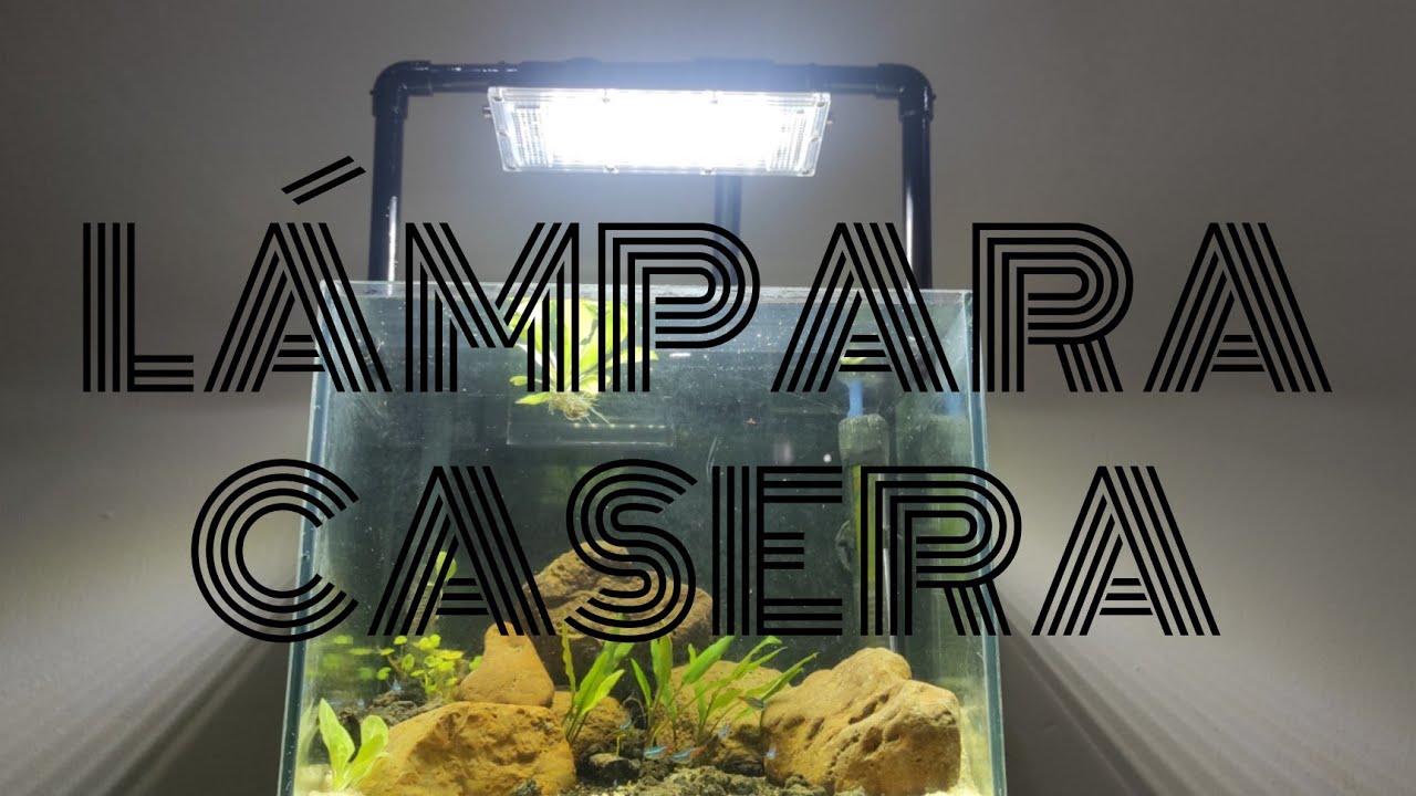 LÁMPARA CASERA PARA NANO ACUARIO / ACUARIO ZACATECAS
