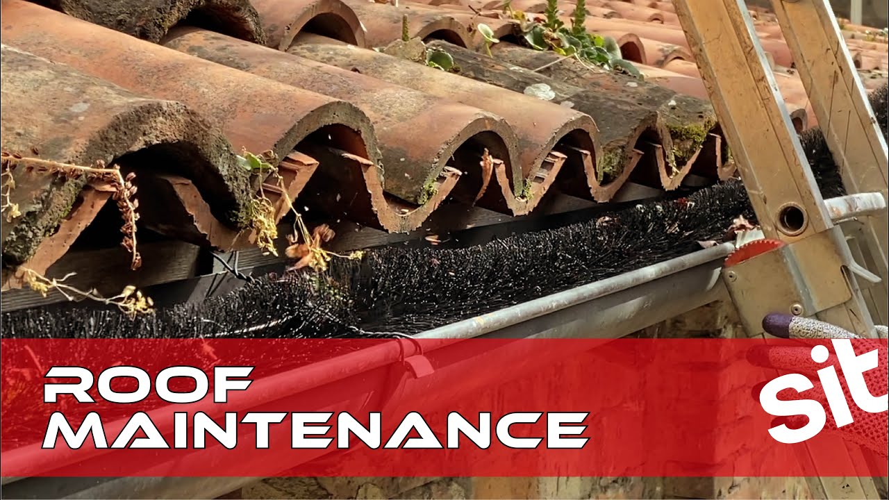 Roof Maintenance with Gutter Saver and Spid brush - SITBRUSH