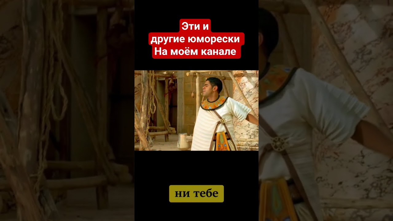 Эль Крыседенте 100 дней угнетает колонию WHISKERWOOD 