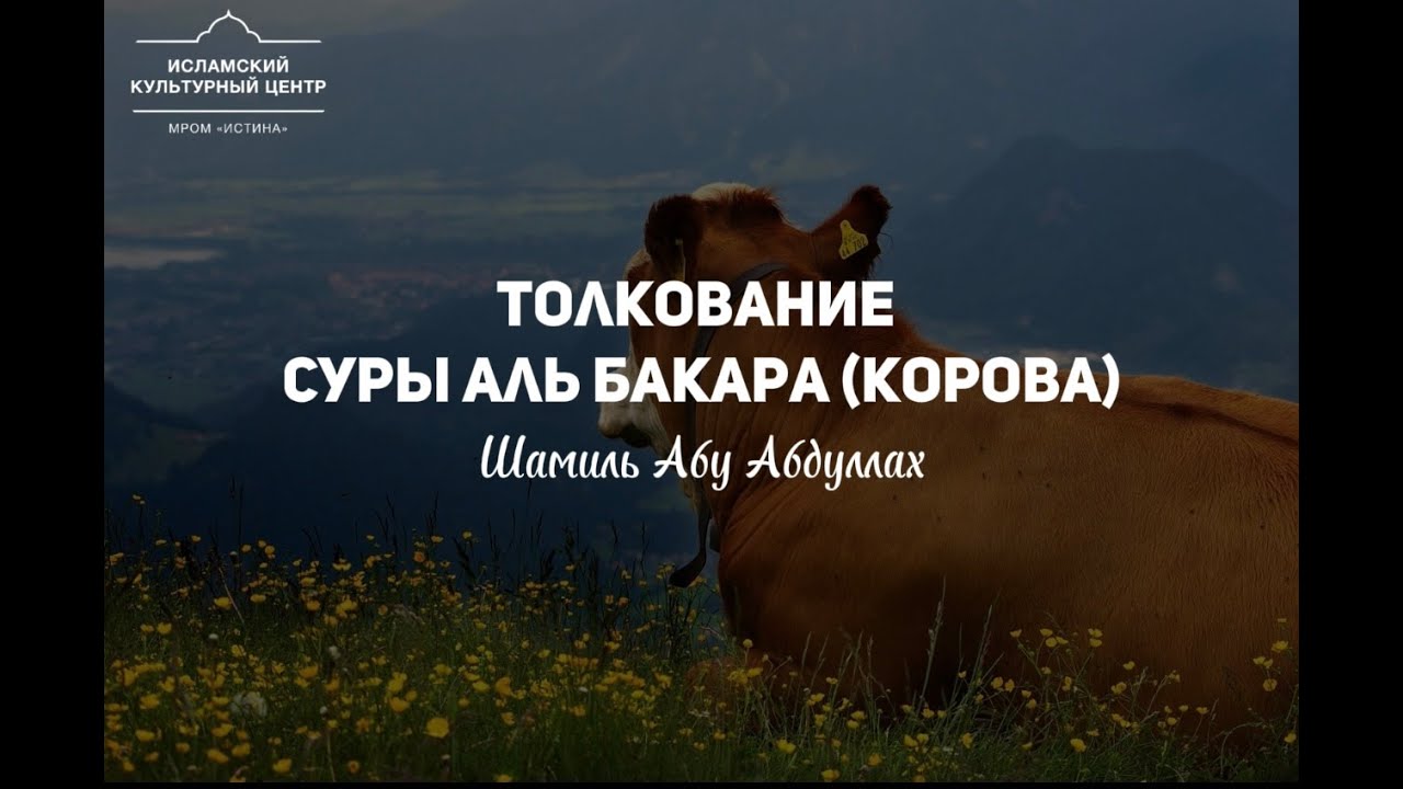 Тафсир Корана. 9 Урок. сура Аль-Бакара 21-24 аят. | Шамиль абу Абдуллах