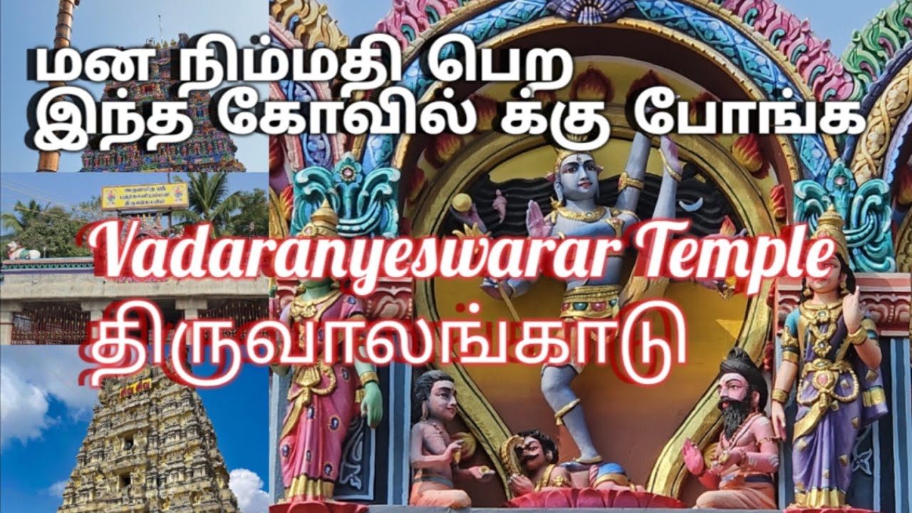 இத கடைசி வர பாருங்க! 😲😲 வடாரண்யேசுவரர் கோயில் | திருவாலங்காடு | Vadaranyeswarar Temple