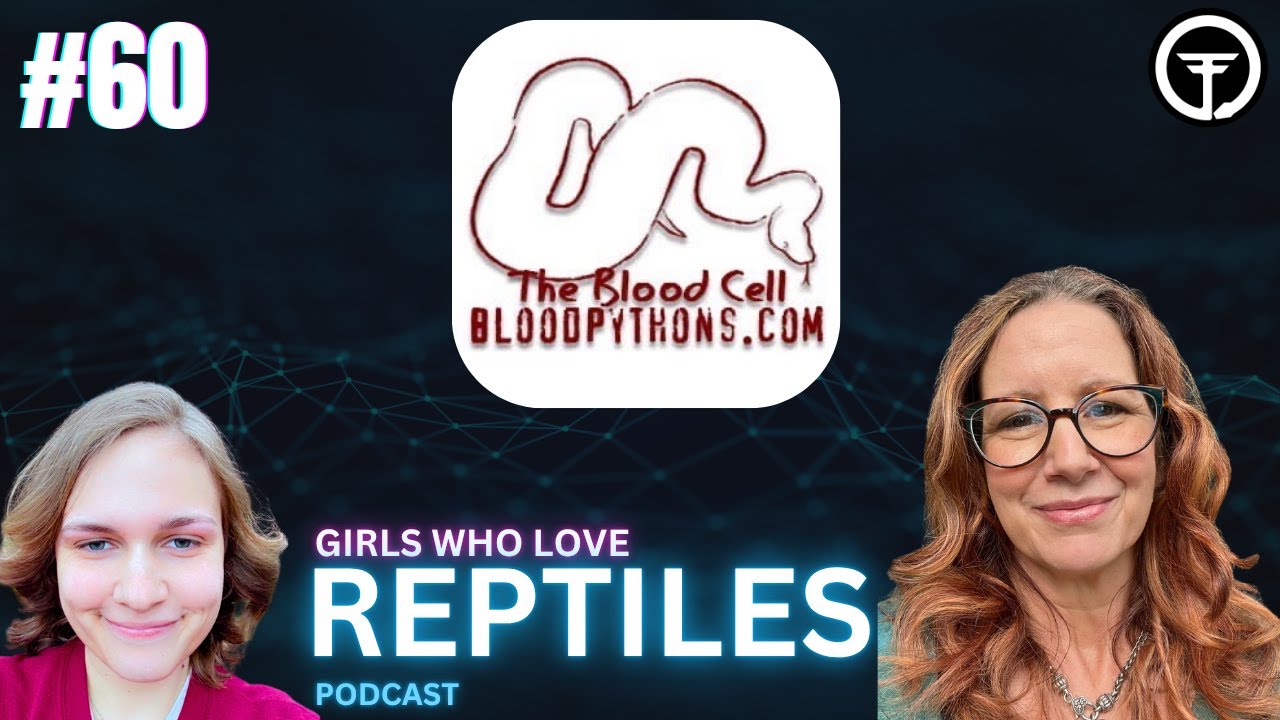 Deep Dive Into Blood Pythons | Girls Who Love Reptiles Podcast Live