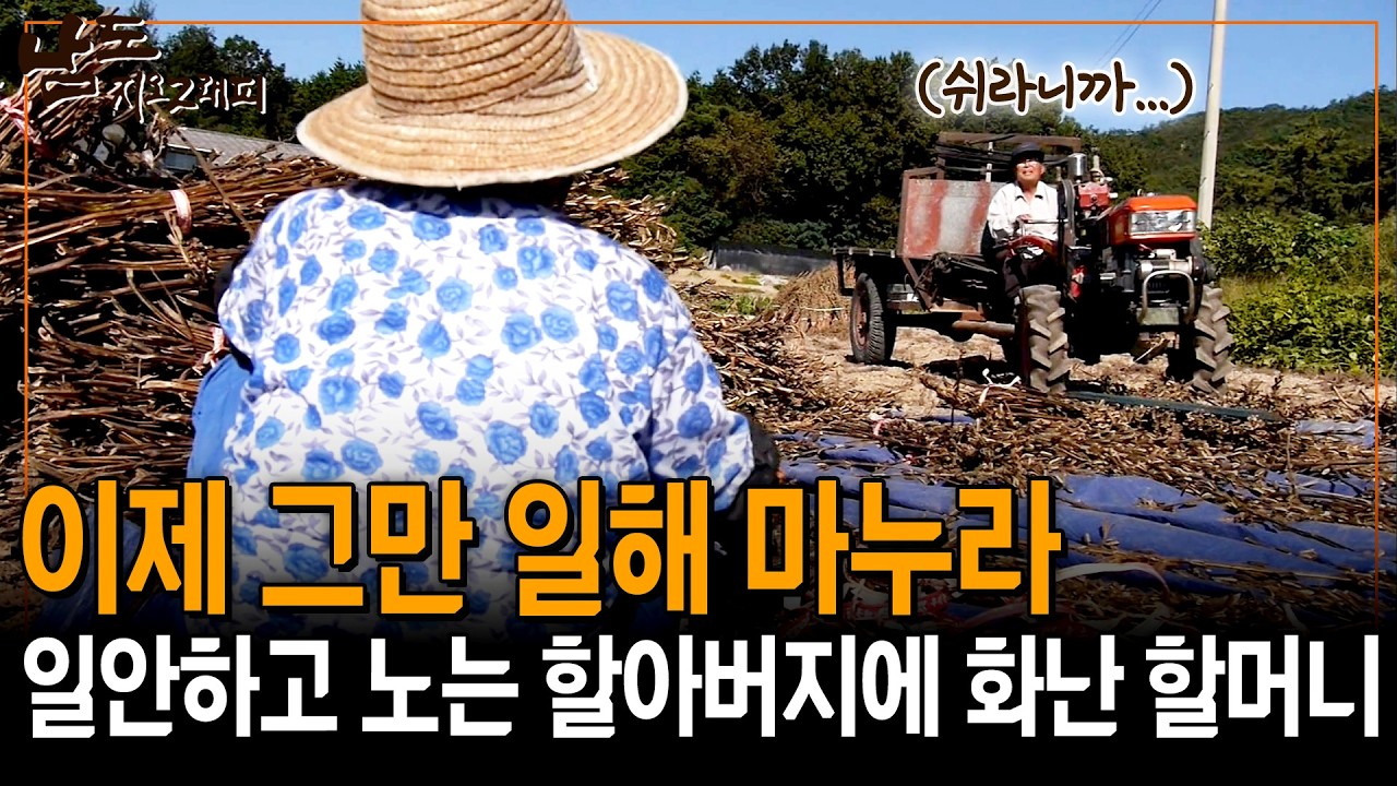 매일 놀면서 옆에서 그만두라고 쉽게 말하는 할아버지에 가슴이 답답한 할머니의 포효 [남도지오그래피] | KBS 150914