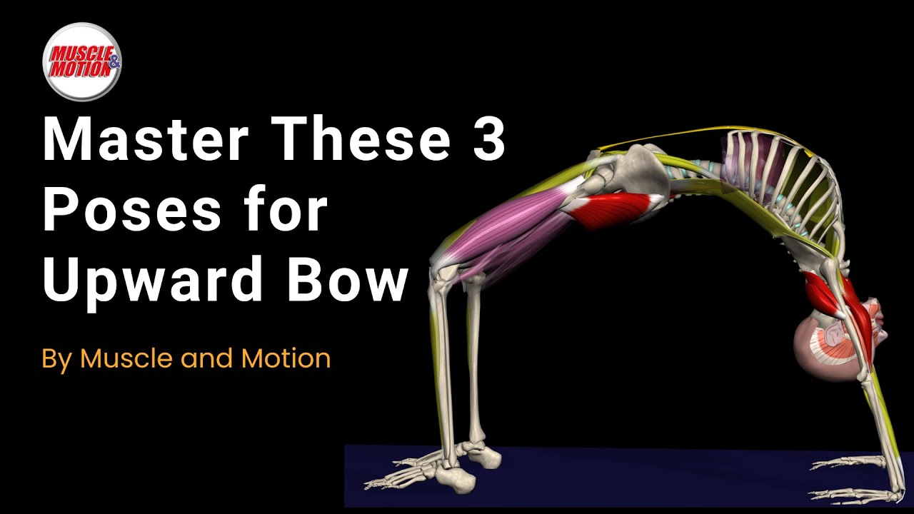 Master These 3 Poses for Upward Bow: Flexibility & Strength