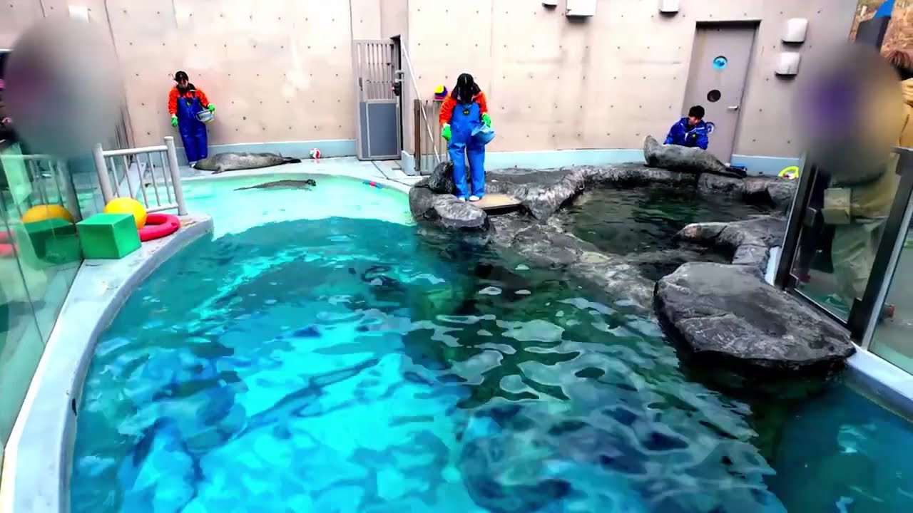 アザラシもぐもぐタイム