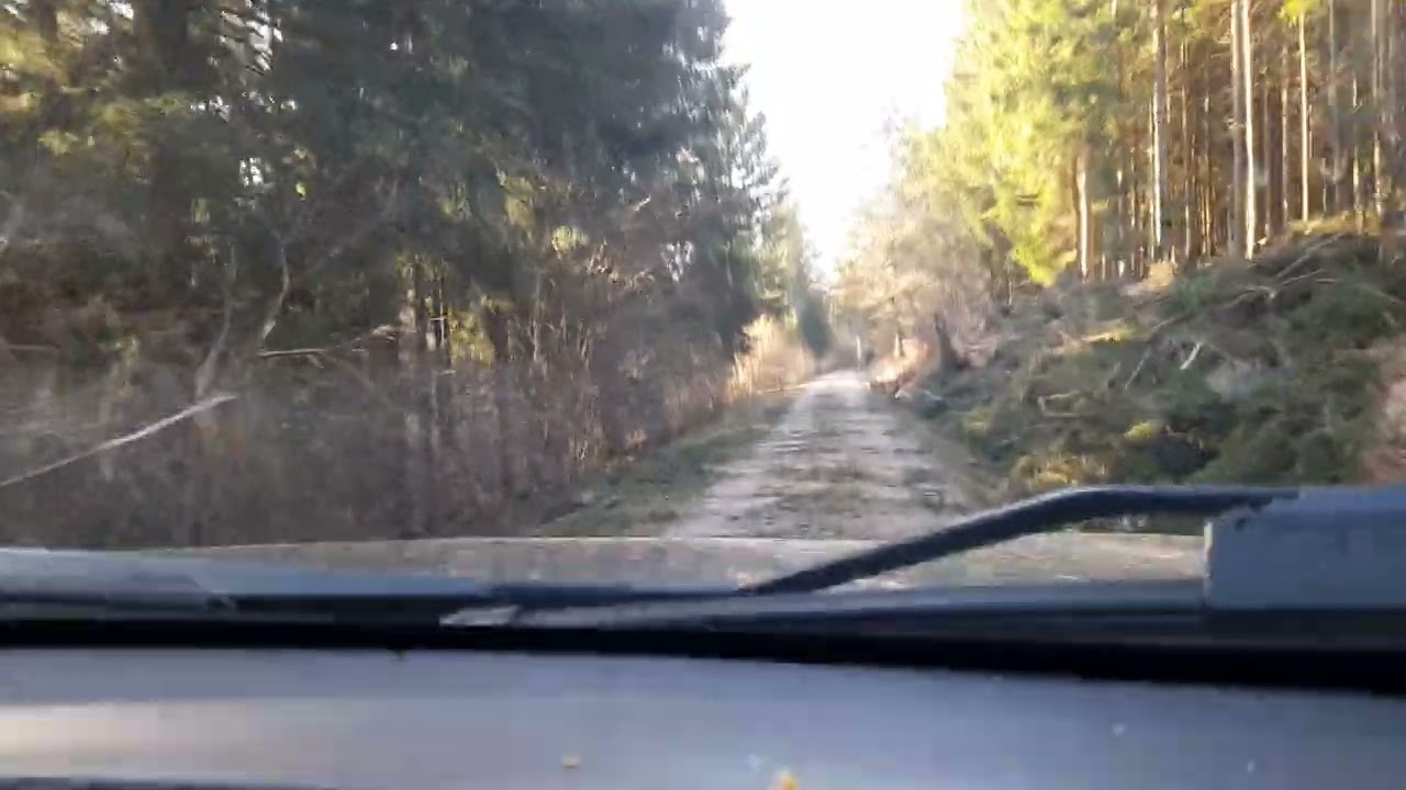 Ins Tal der Sandbornwiesen zur #landschaftspflege #solling