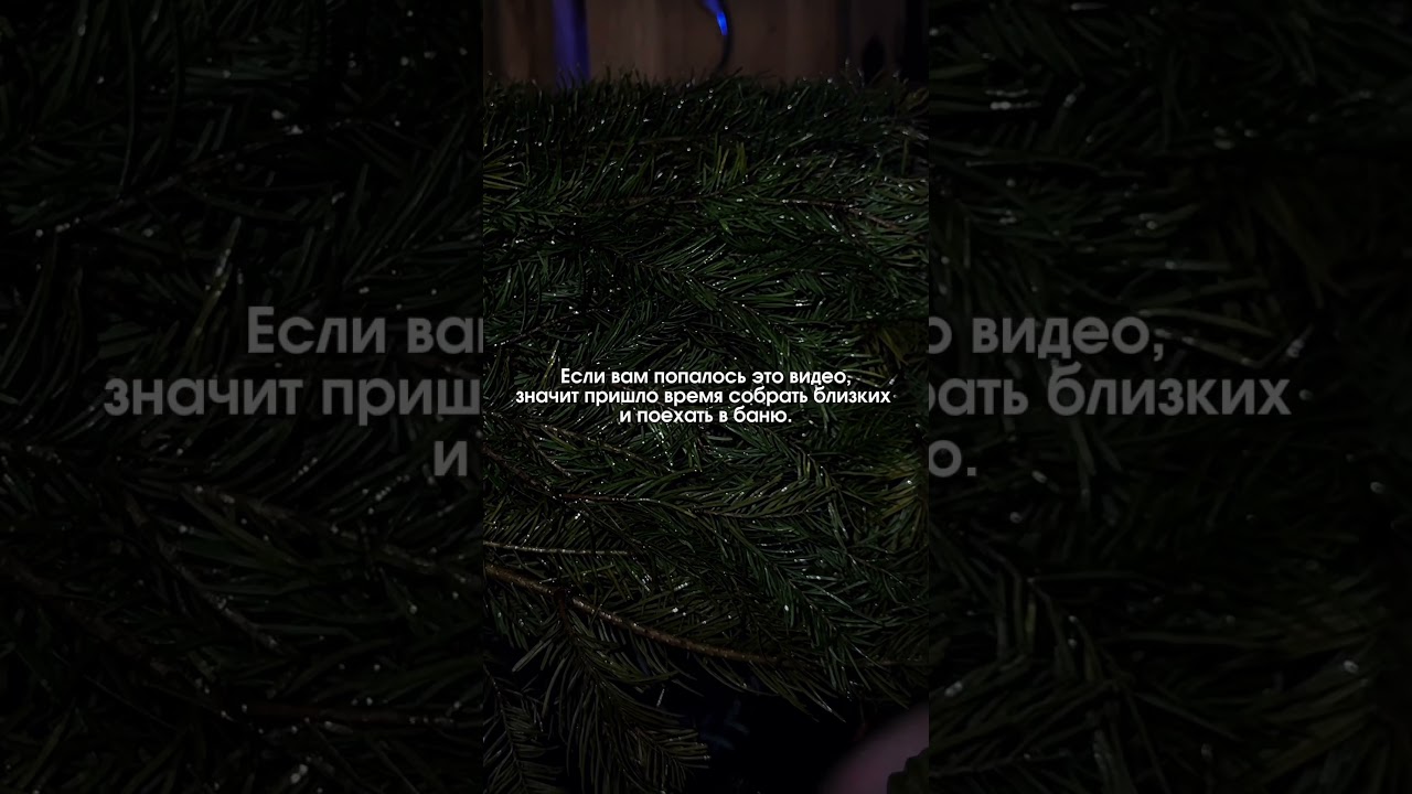 Иногда всё, что нужно &ndash; это собрать близких и уехать туда, где тихо, тепло и можно быть рядом 💛
