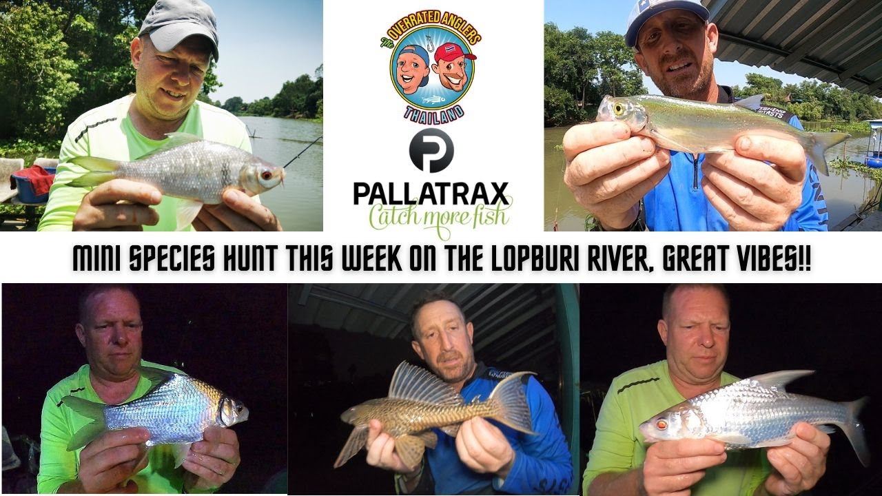 Fishing in Thailand - The Overrated Anglers - Lopburi River, Ayutthaya Province - 5th to 7th May 023