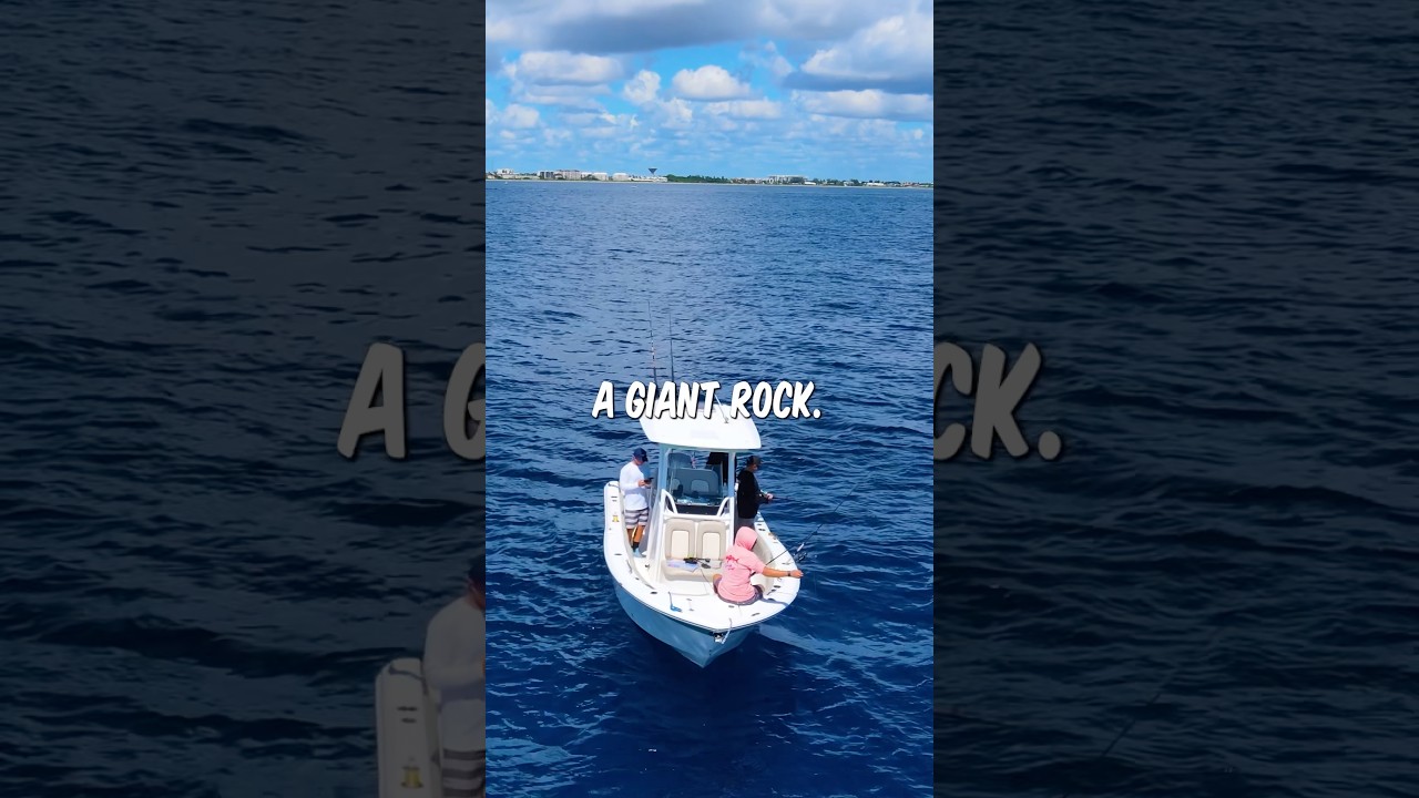 I Dropped My Bait Under A Giant Rock 🪨 #fishing #shorts