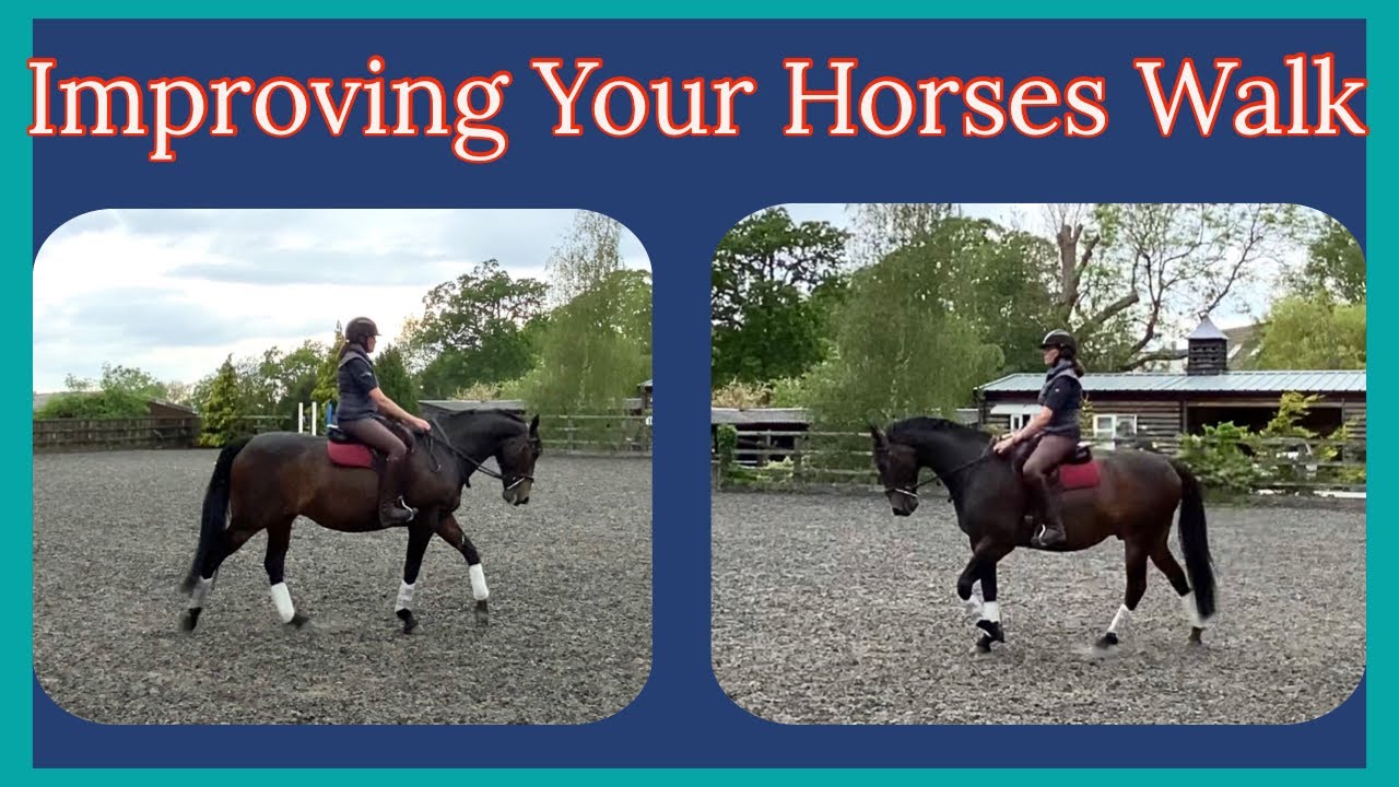 HOW TO IMPROVE YOUR HORSES WALK & REDUCE TENSION & JOGGING | Dressage Training