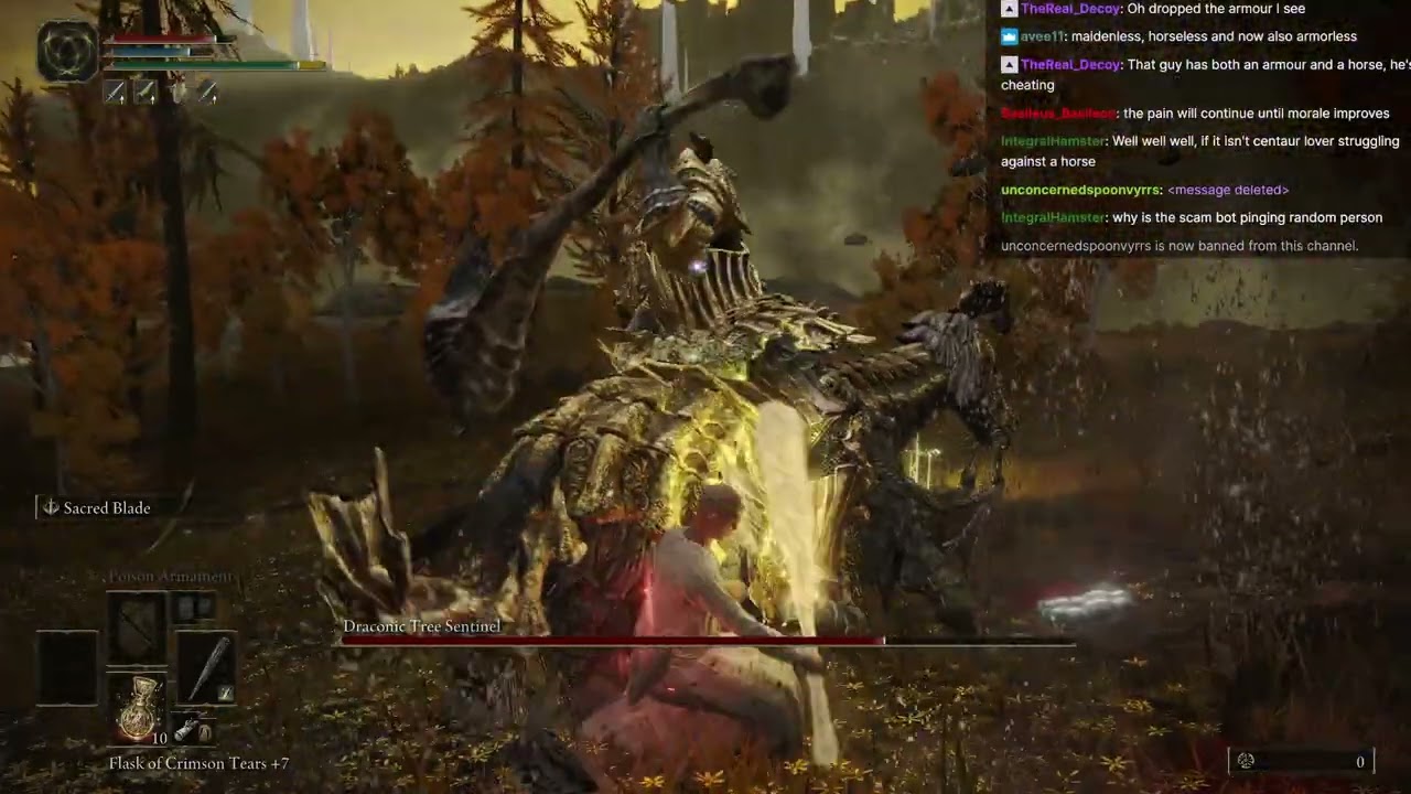 That Boss in Front of That Gate - Blind Level 1 Elden Ring (Part 28)