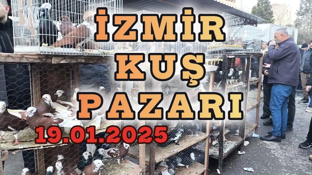 İZMİR KUŞ PAZARI #87