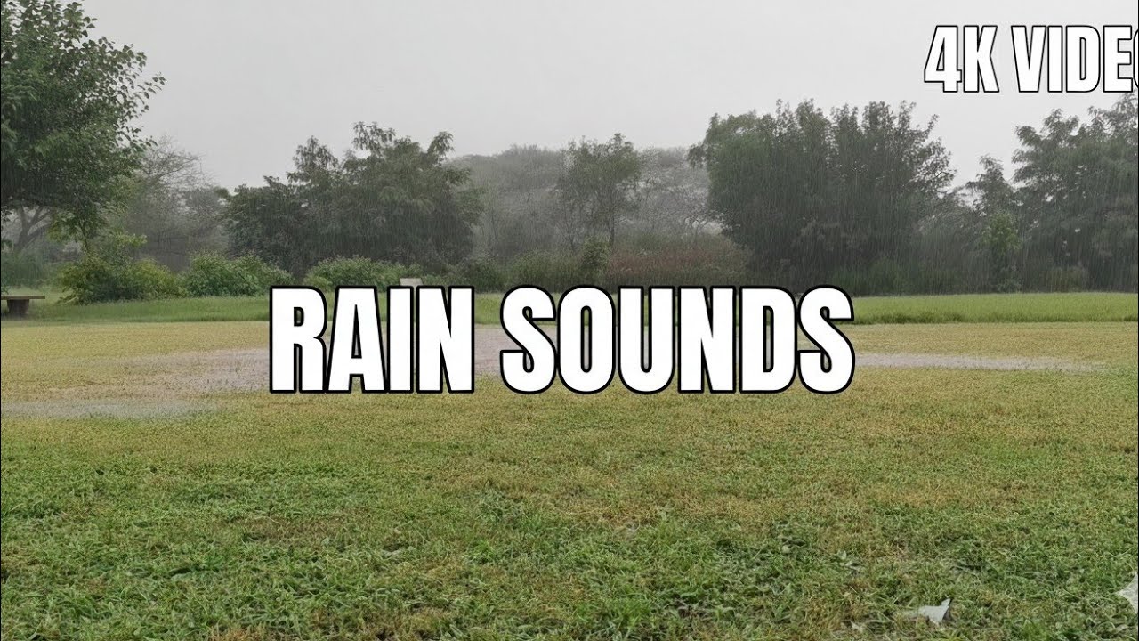 Rain noise asmr - Relaxing rain sounds - sounds for sleeping , relax , meditation , yoga - 5 hours