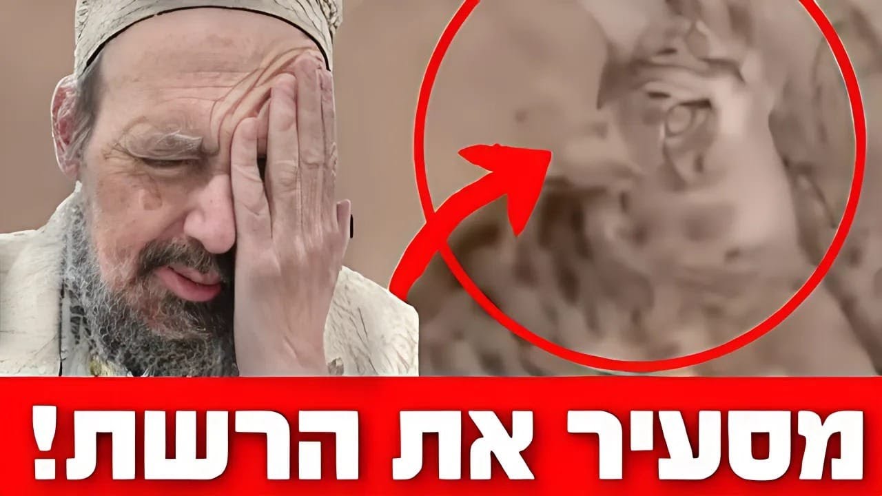 מסעיר את הרשת: חתול הגיע לכותל המערבי והחל ליילל! האם מדובר בגלגול נשמות? המקובל הרב ביטון והרב קוק
