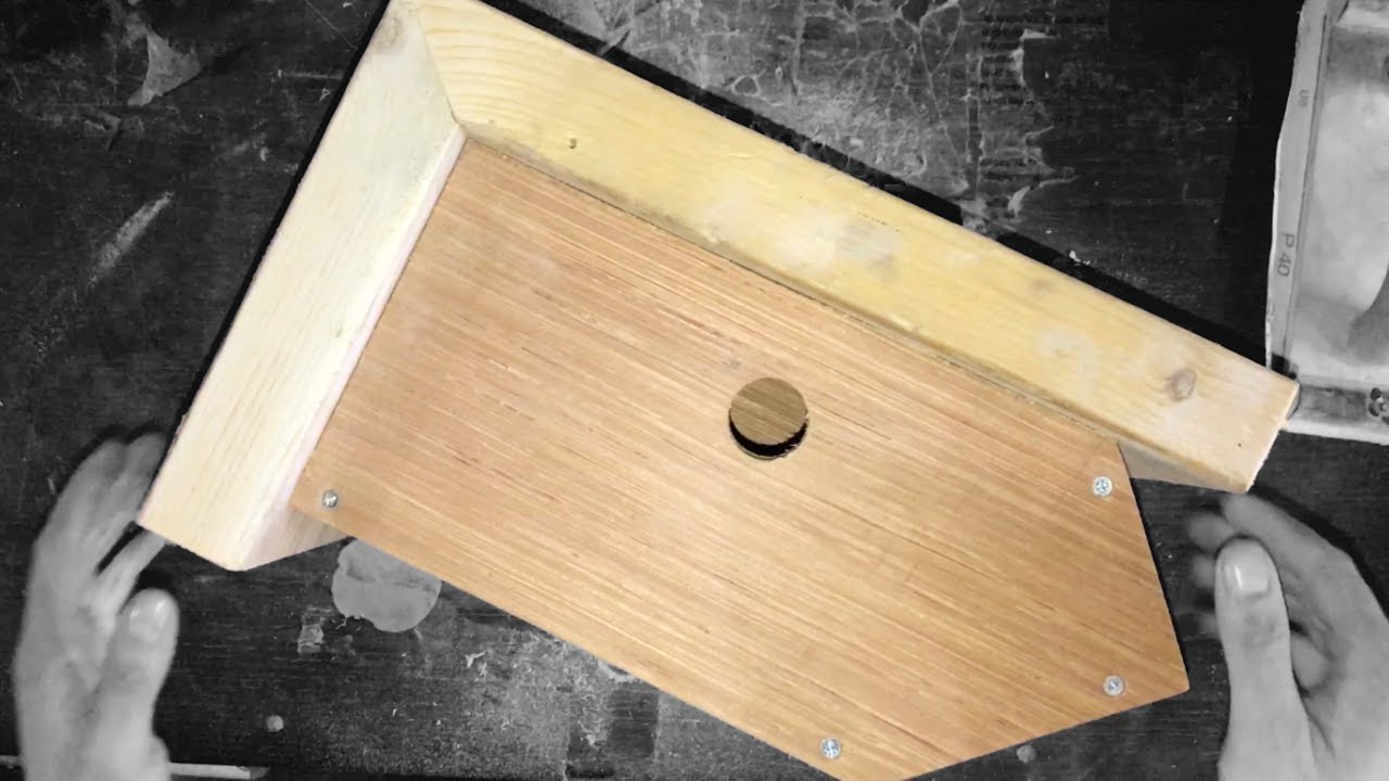 Green Feathers Side View Bird Nest Box Replica Build