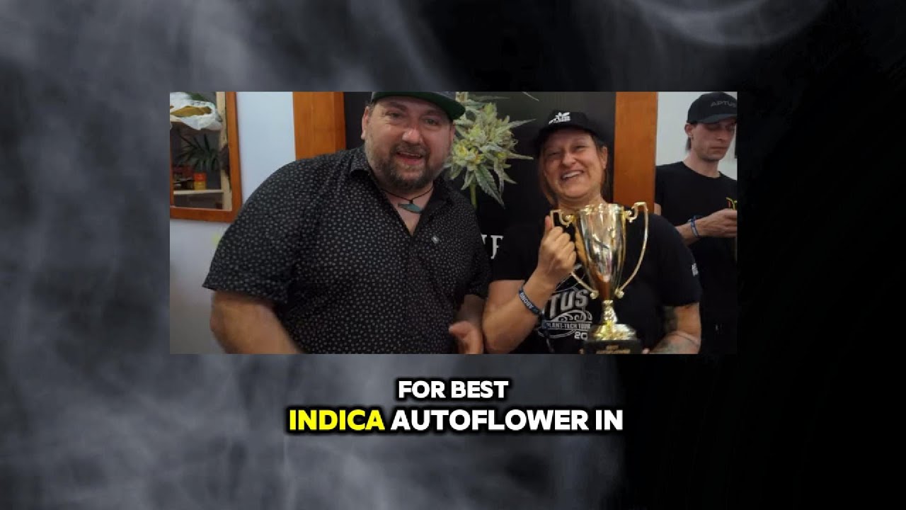SlowPoke FuegoBud | 2024 BEST INDICA winner by Humboldt Seed Company |